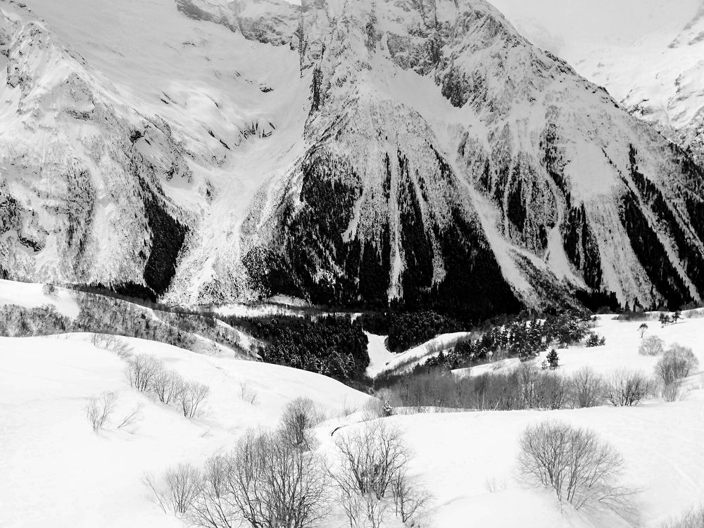 Photograph by Лариса Неудачина