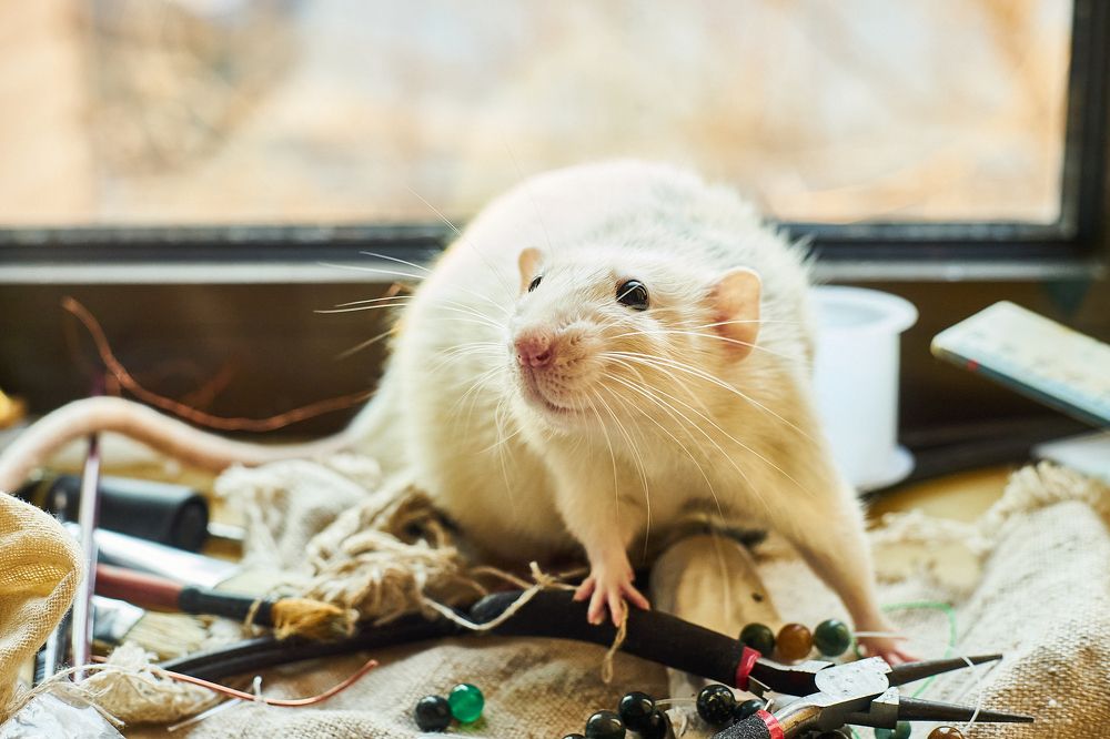 Photograph by Лариса Неман