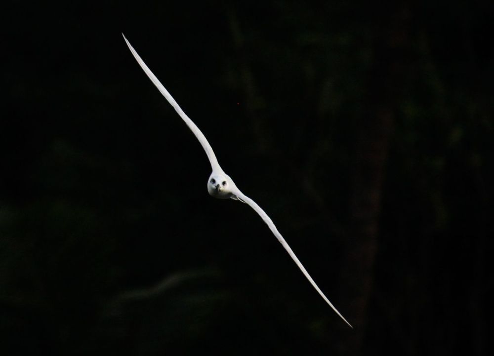 Photograph by Mathew Nishanth A