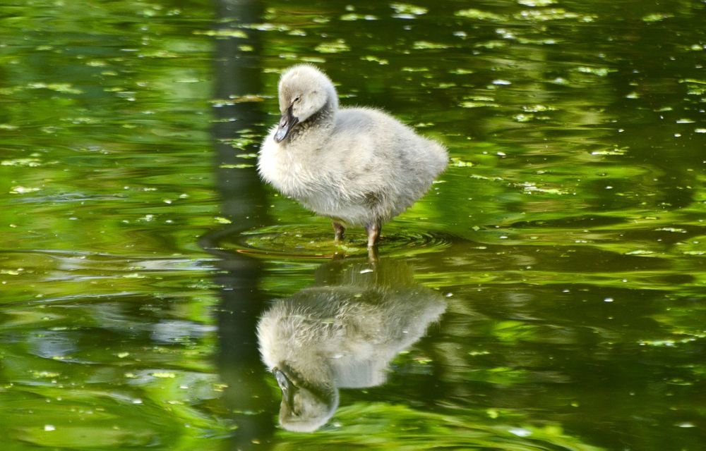 Photograph by Mathew Nishanth A