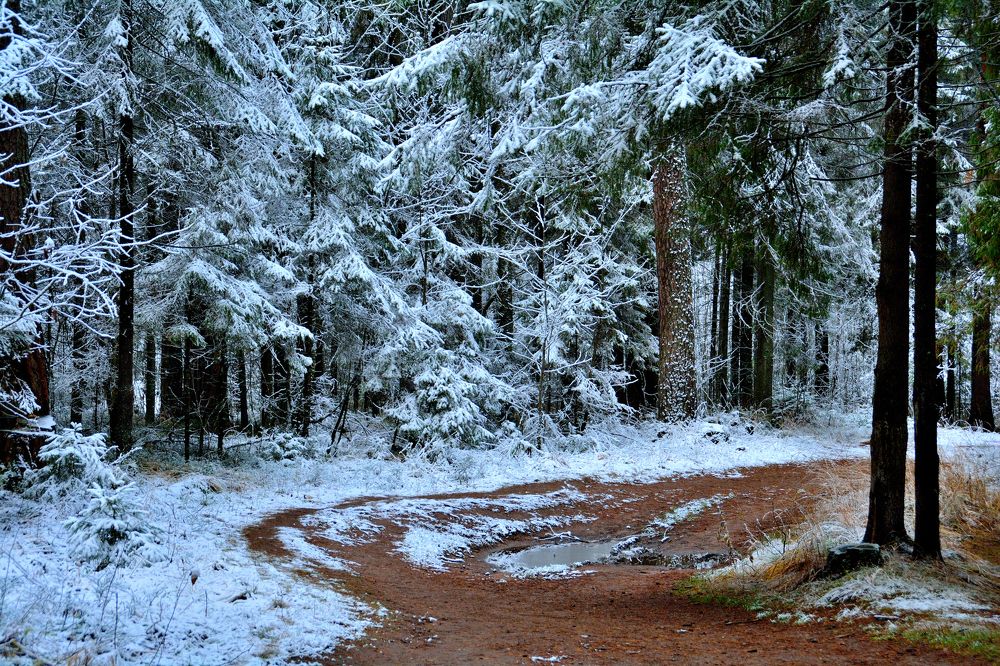 Photograph by Александр Зуев