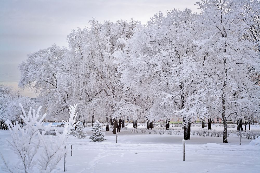 Photograph by Панюшкин Андрей