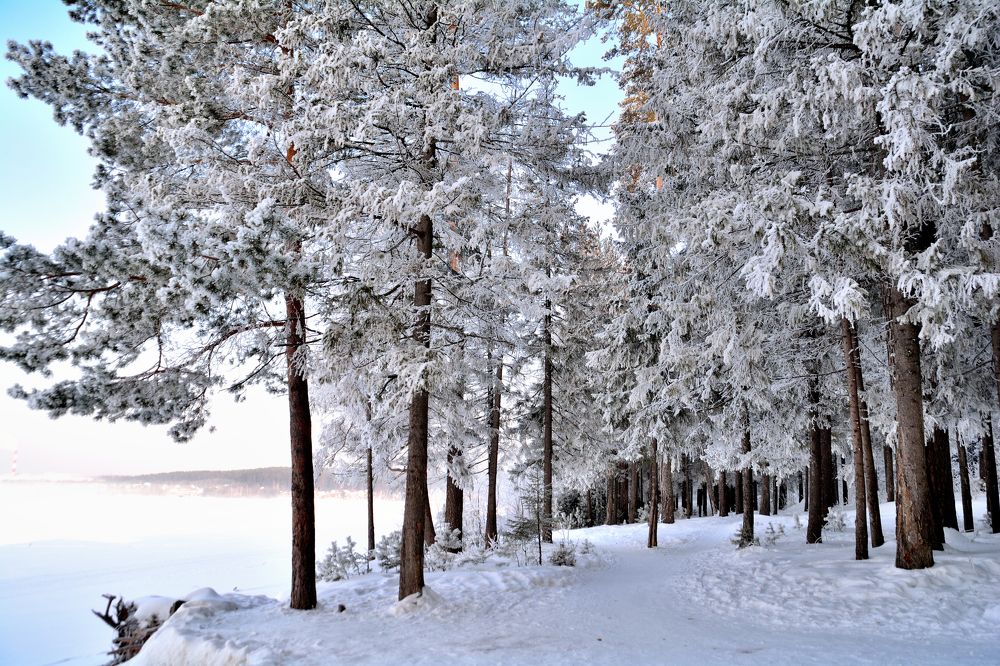 Photograph by Александр Зуев