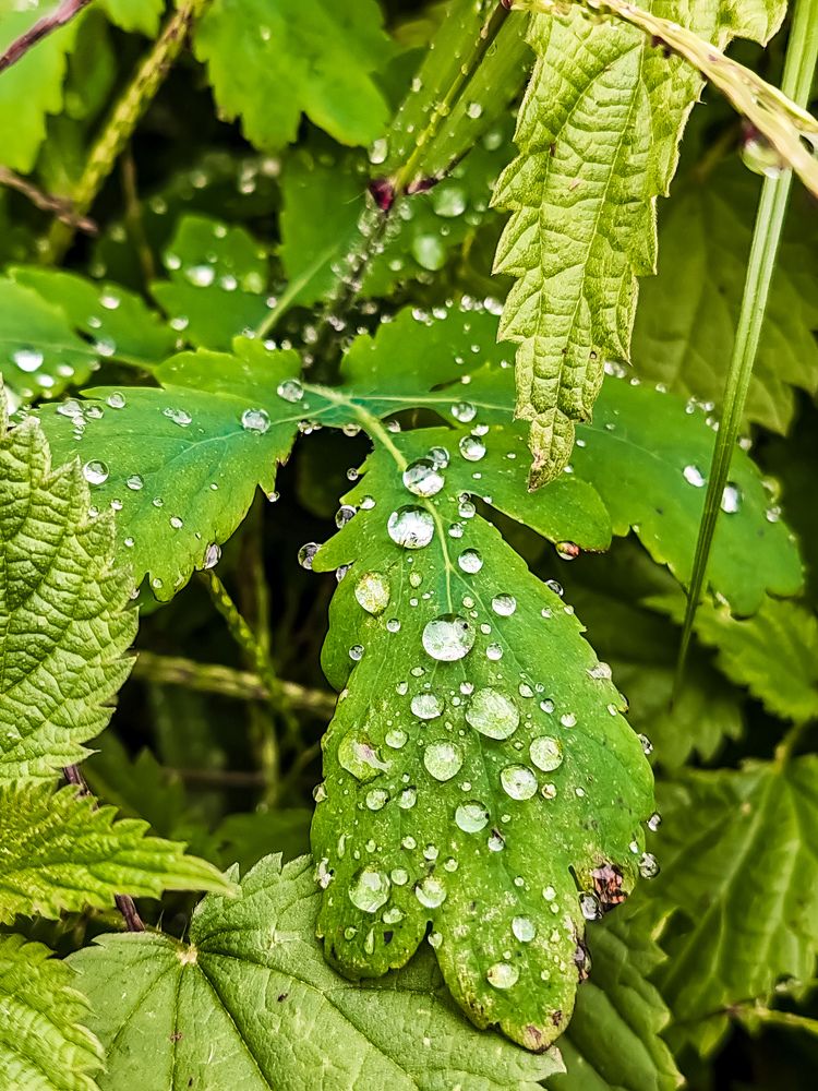 Фотография автора Любовь