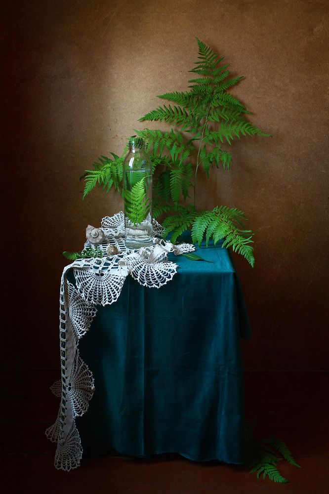 Photograph by Курочкина Диана