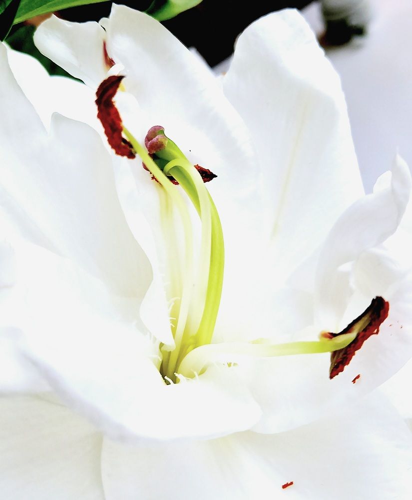 Photograph by Ольга Юрченко