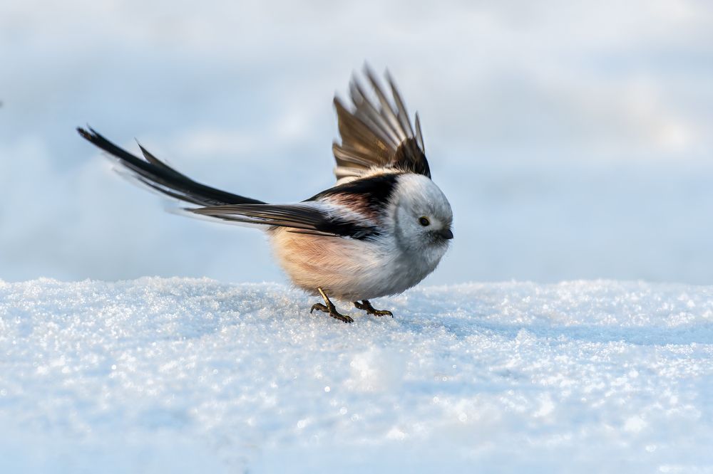 Photograph by Александр Перегудов