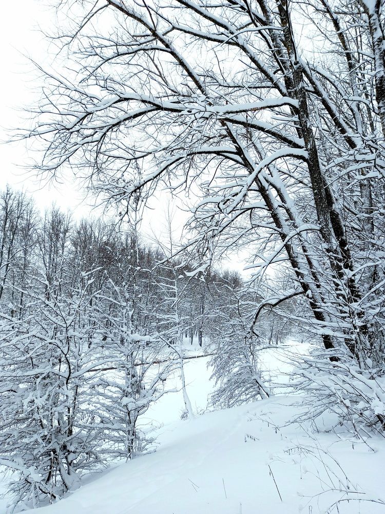 Photograph by Ольга Юрченко