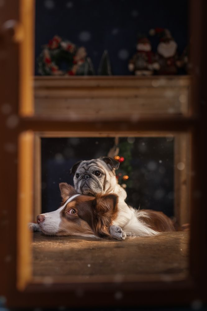 Photograph by Lu Wenyi