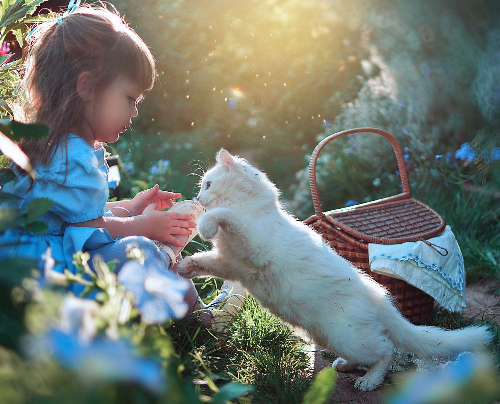 Photograph by Мария Кравченко