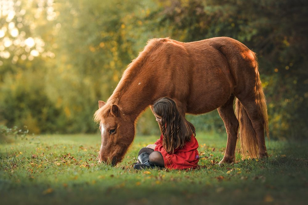 Photograph by Laura Quintanel