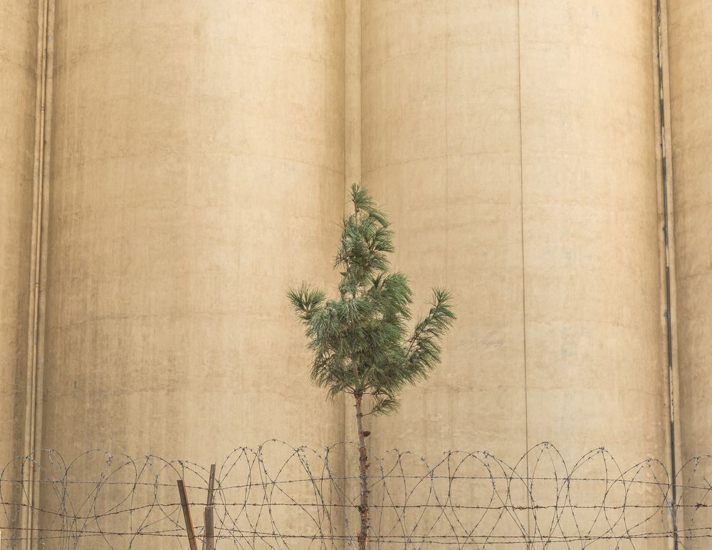 Photograph by seyed mostafa yousefi