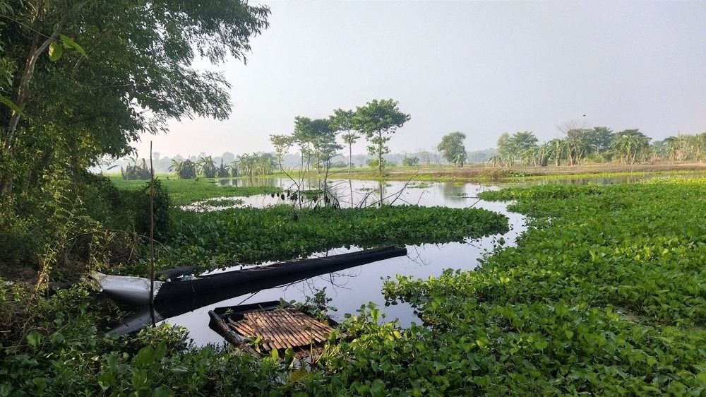 Photograph by Dr.Kajal Bakshi