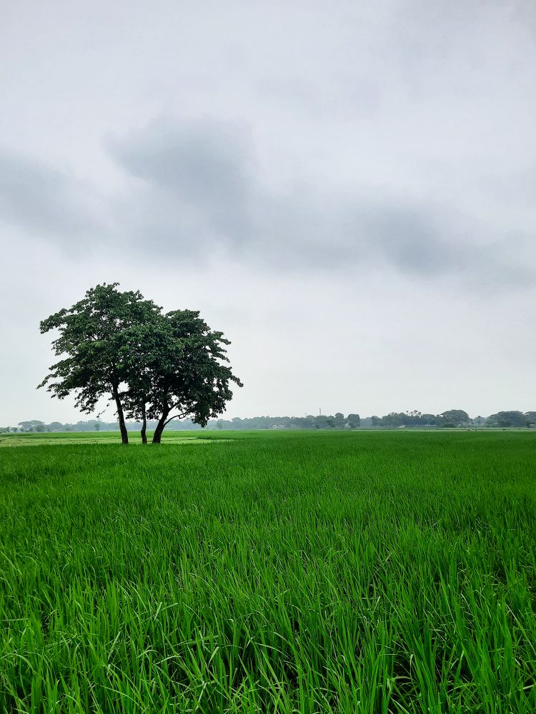 Stand on the green