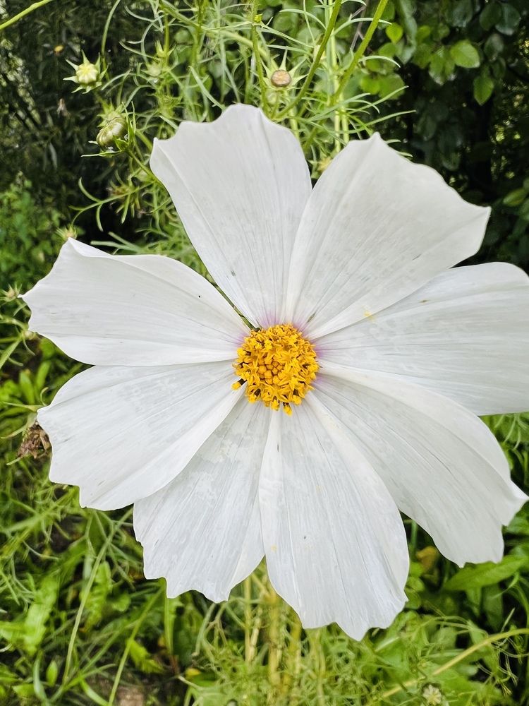 Photograph by Мария Халуторных