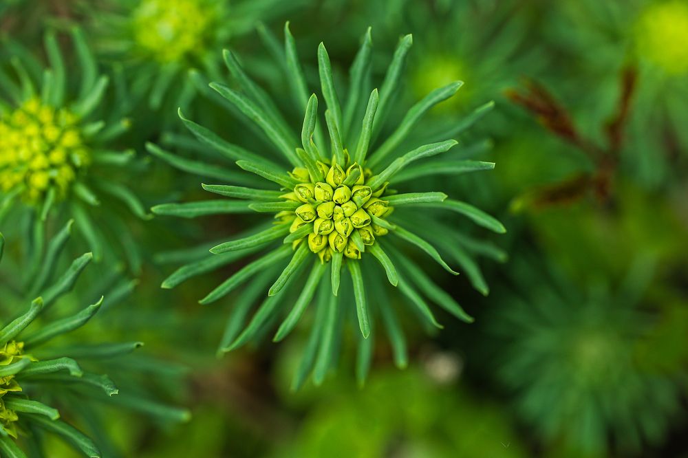 Photograph by Елена Одынец