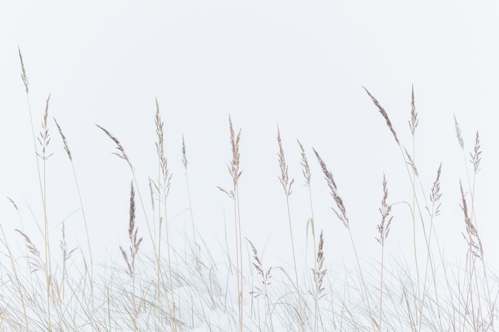 Photograph by Mysov Ivan