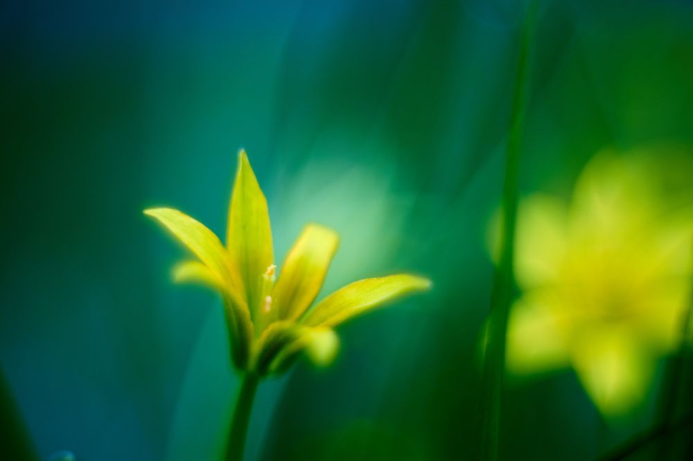 Photograph by Константин Федяев