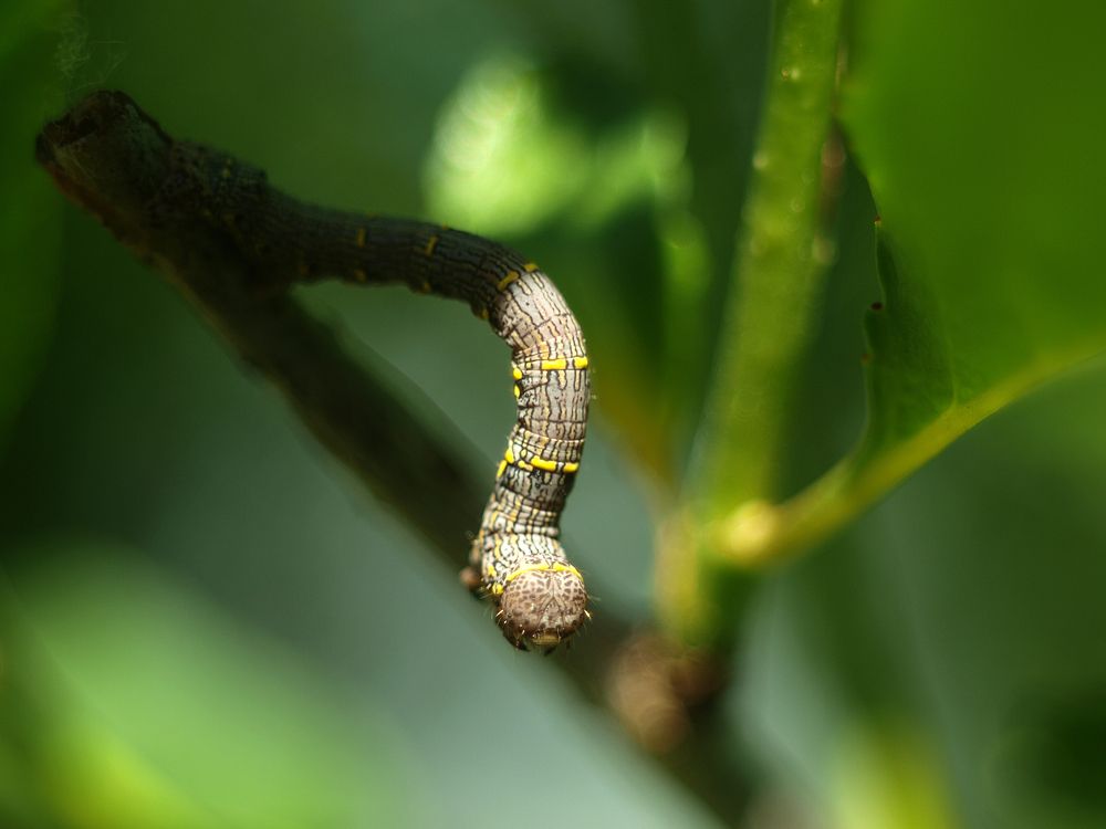 Photograph by Дмитрий Васючков