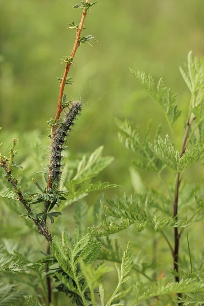 Photograph by Дмитрий Васючков
