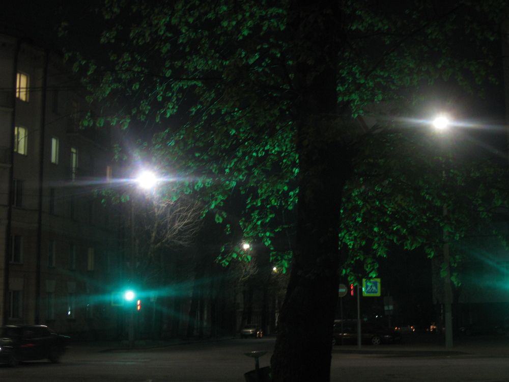 Фотография автора Алина Фирсова