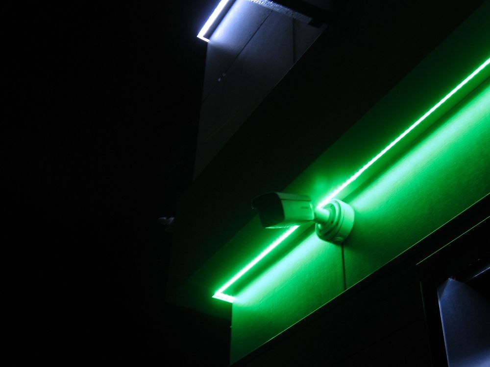 Фотография автора Алина Фирсова