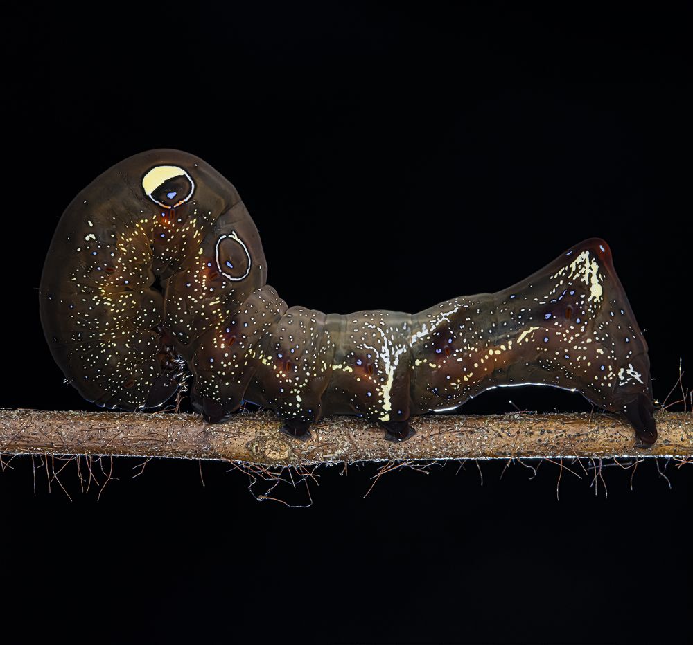 Photograph by LOH CHEE WOEI