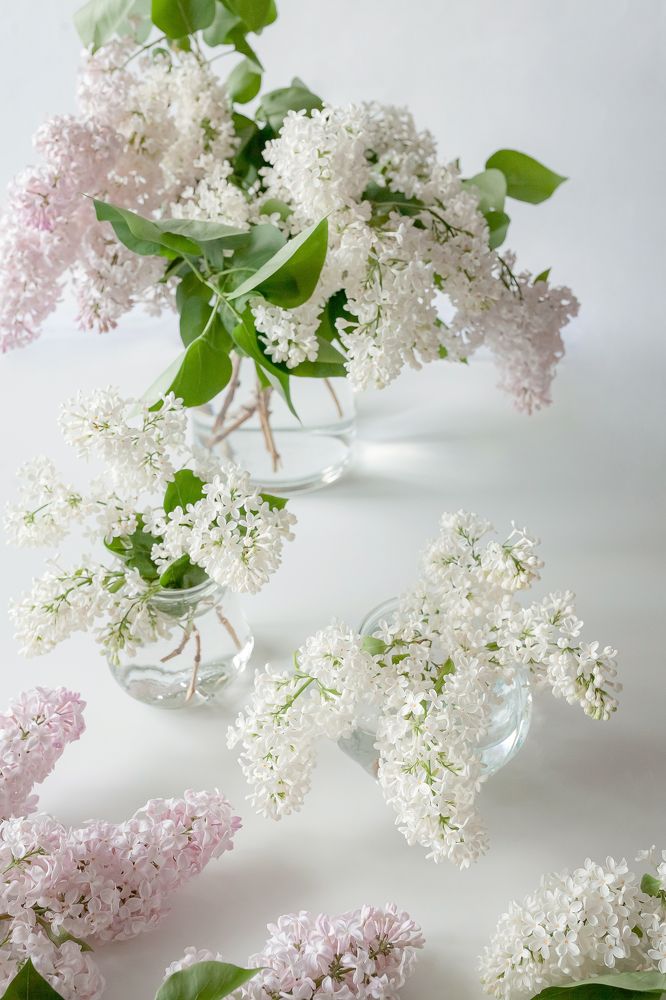 Фотография автора Альбина Кадочникова