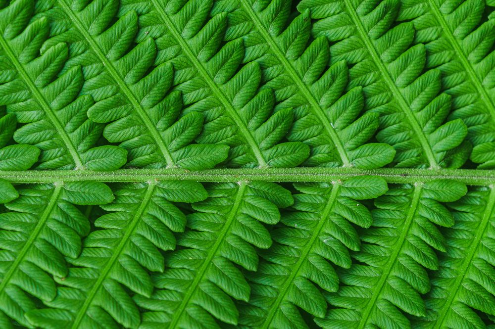 Photograph by Mysov Ivan