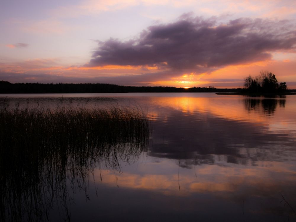 Photograph by Liudmila Drake