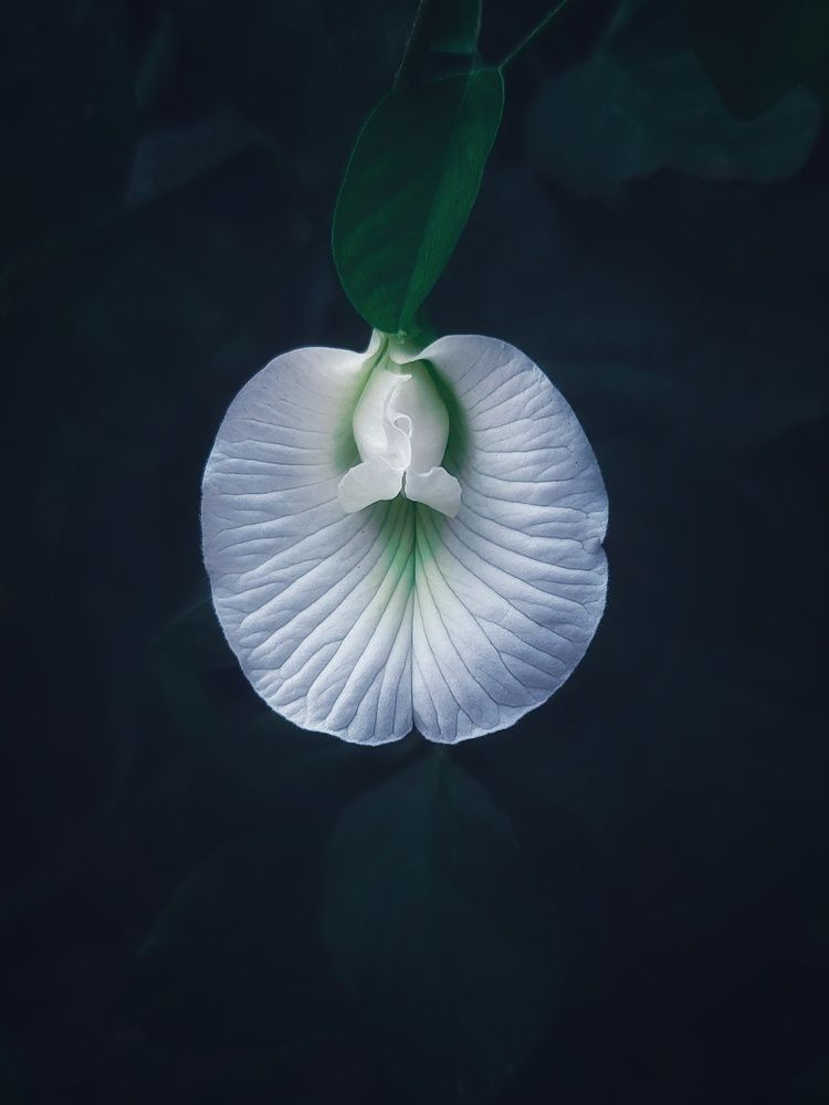 Photograph by Rutuja Shinde