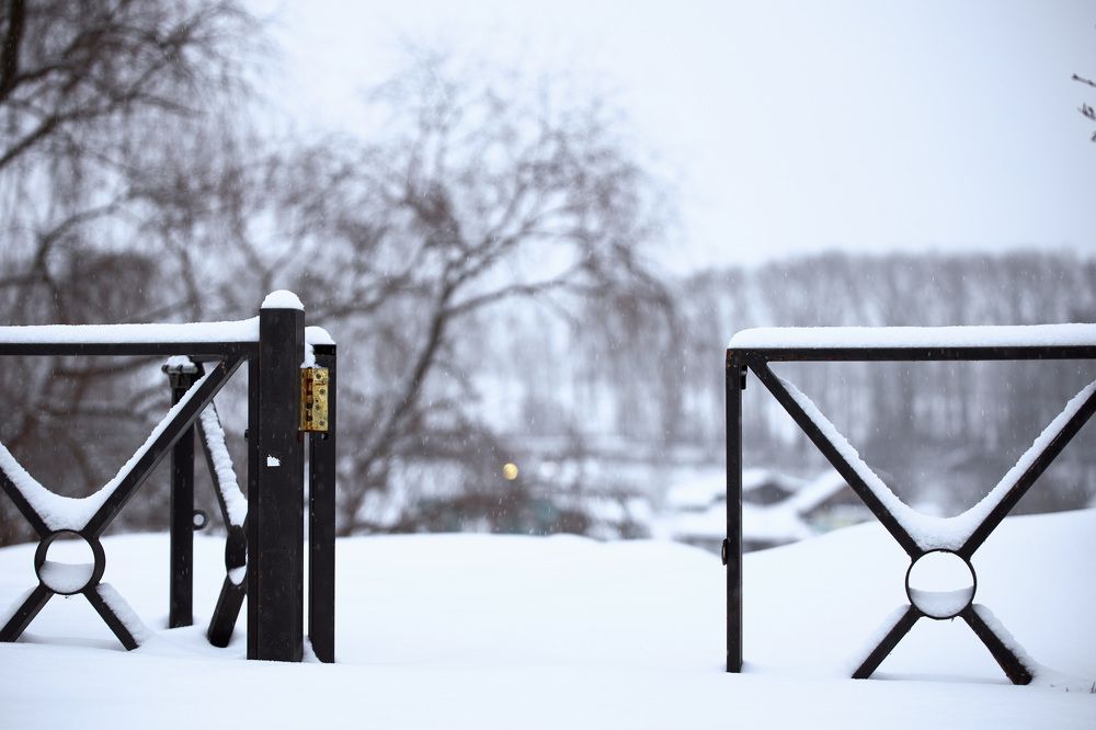 Photograph by Константин Федяев