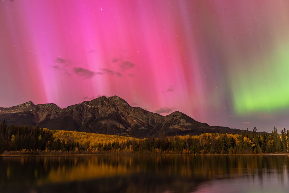 Photograph by Владимир Цветов