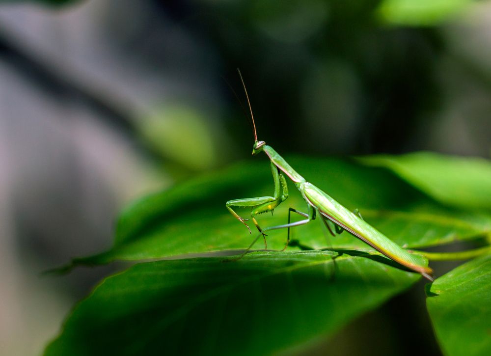 Photograph by Анна Евдокименко