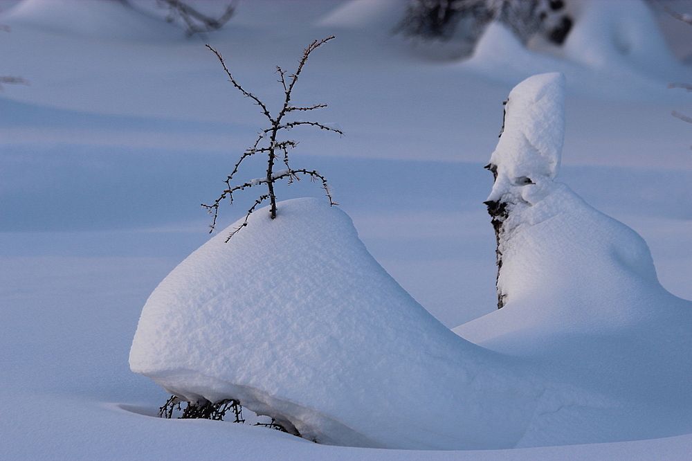 Photograph by Александр Велигура