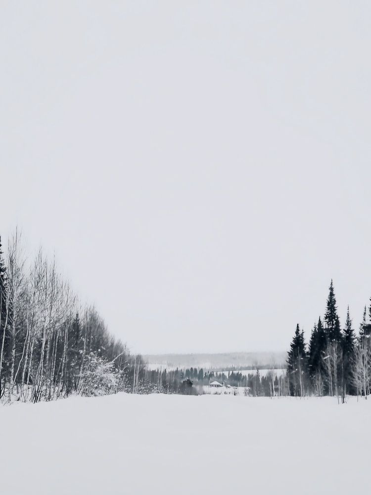 Photograph by Ольга Фомина