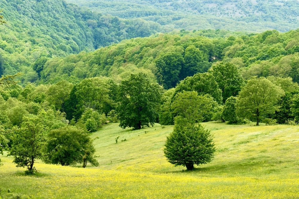 Photograph by Orhan Olmez