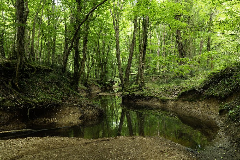 Photograph by Orhan Olmez