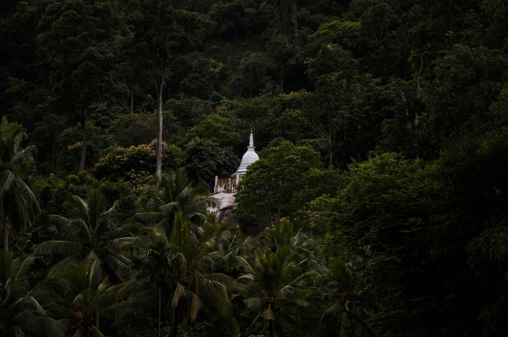 Photograph by Chamara Sulakkhana Polwatta Siriyalage