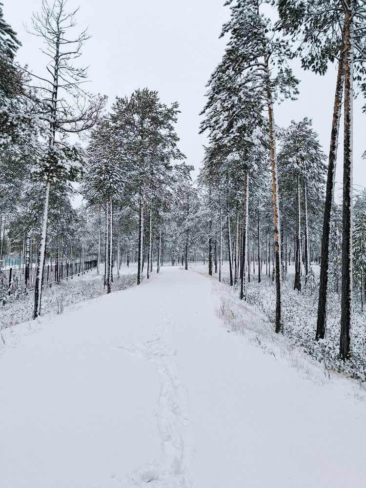 Photograph by Ольга Денисова