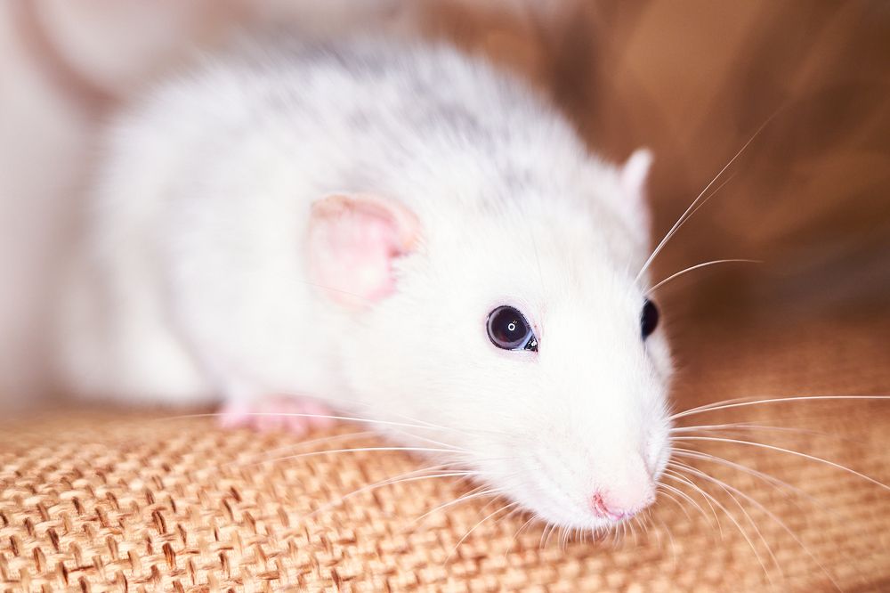 Photograph by Лариса Неман