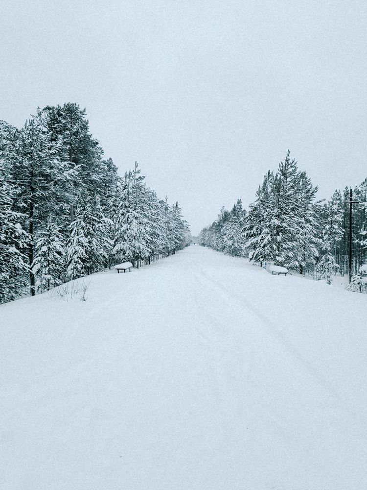 Photograph by Ольга Денисова