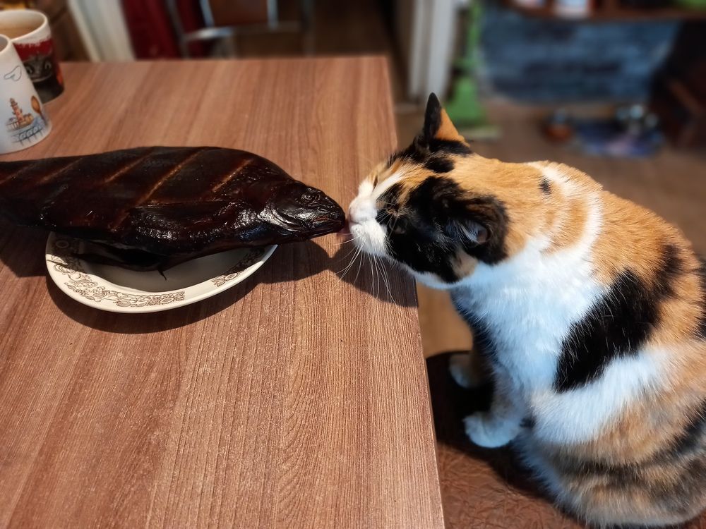 Photograph by Анастасия Бородина