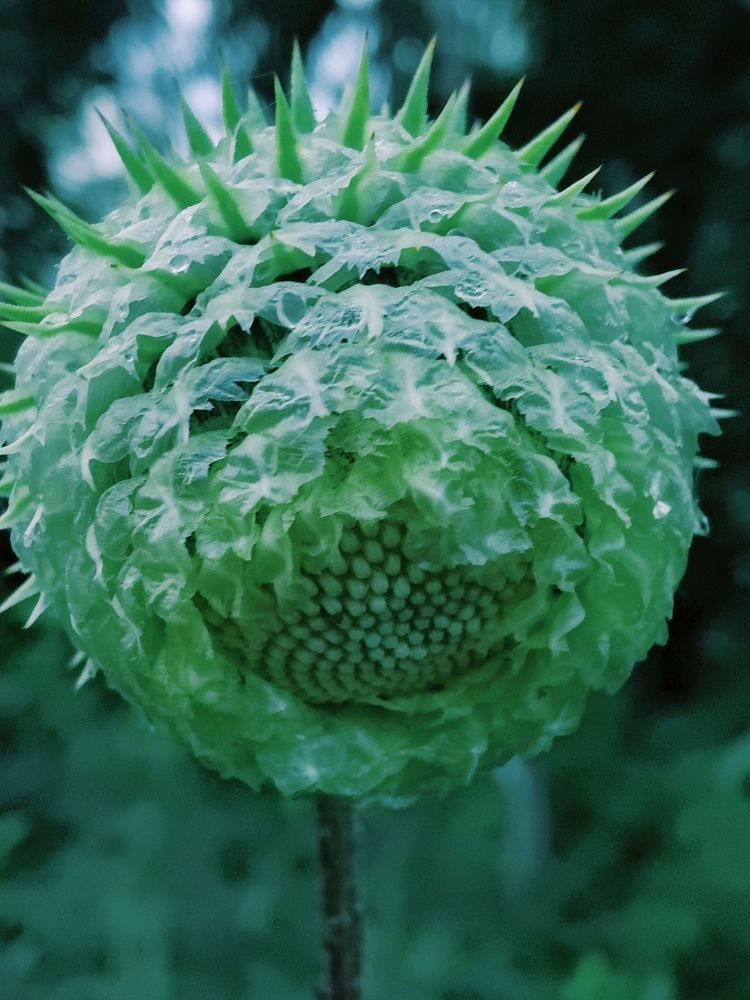 Photograph by Татьяна Гулакова