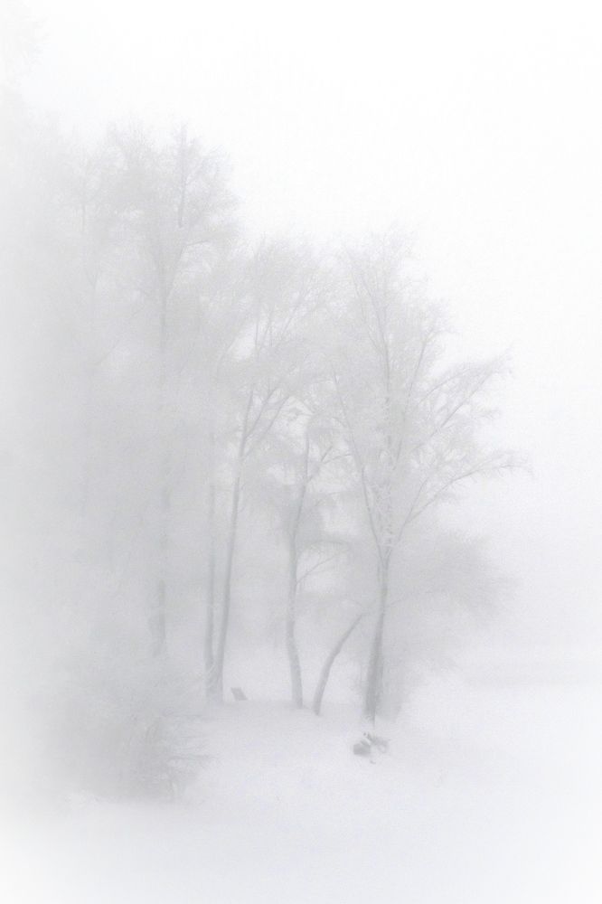 Photograph by Андрей Давыдов