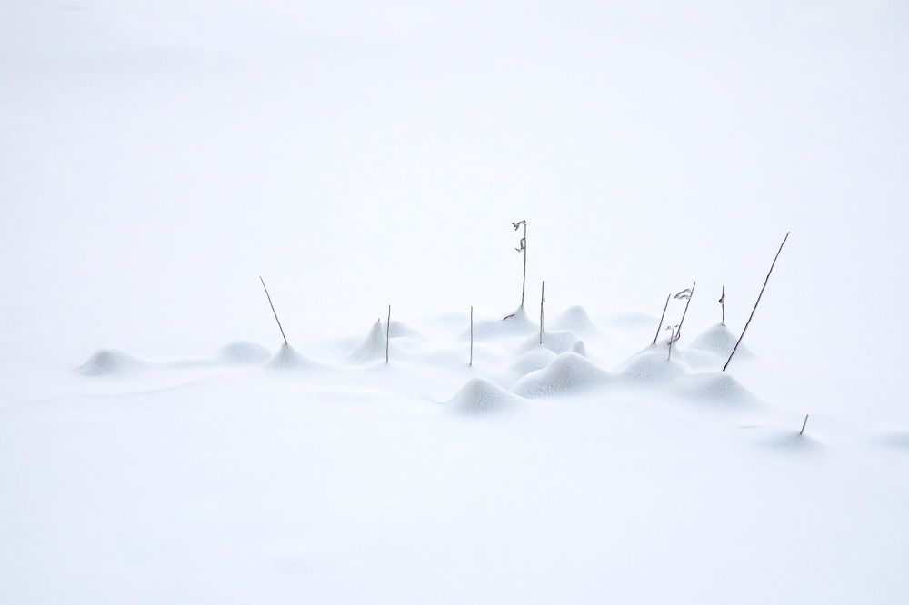 Photograph by Андрей Давыдов