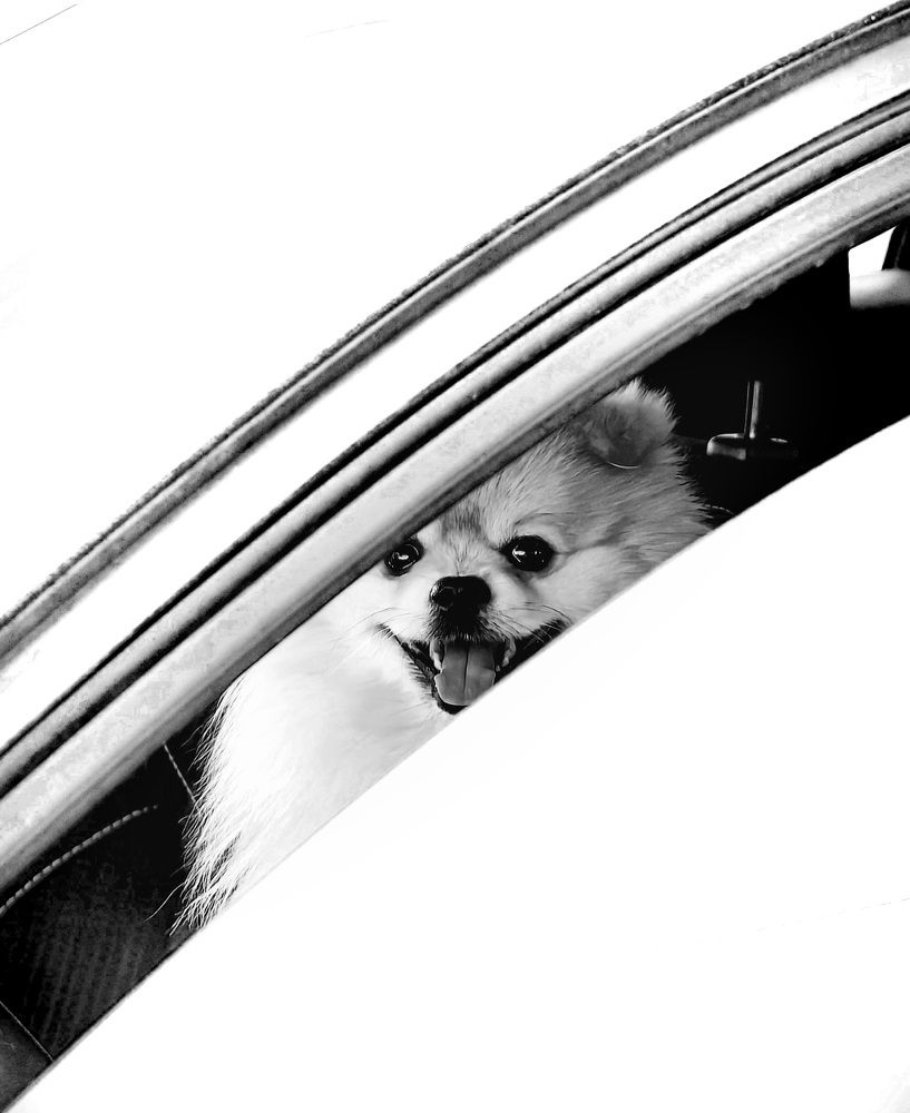 Photograph by Кристина Рыбина