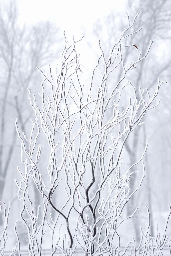 Photograph by Андрей Давыдов