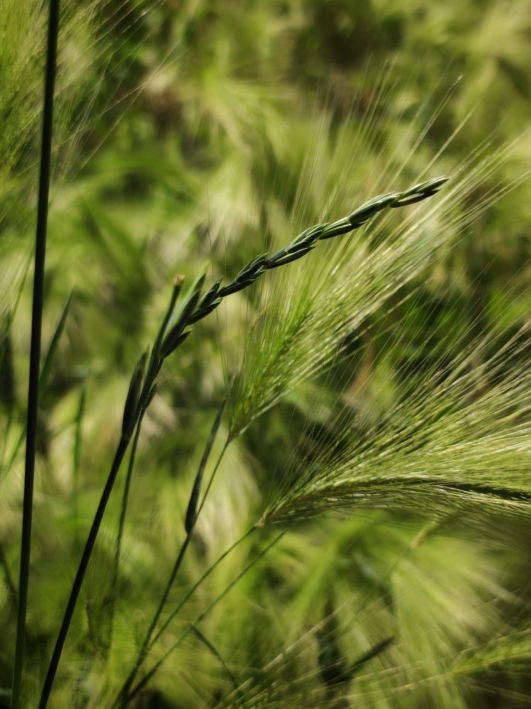 Photograph by Anastasia Malyukova