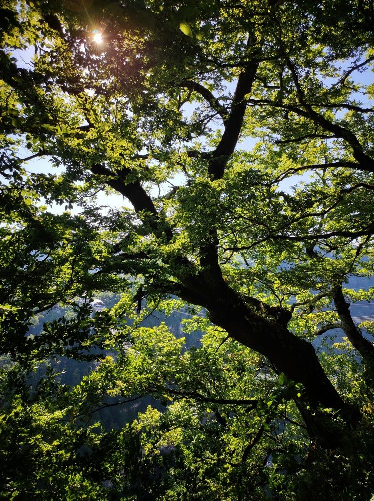 Photograph by Anastasia Malyukova